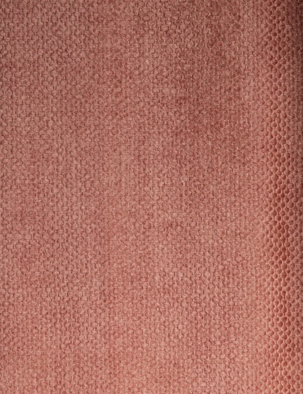 California Coral