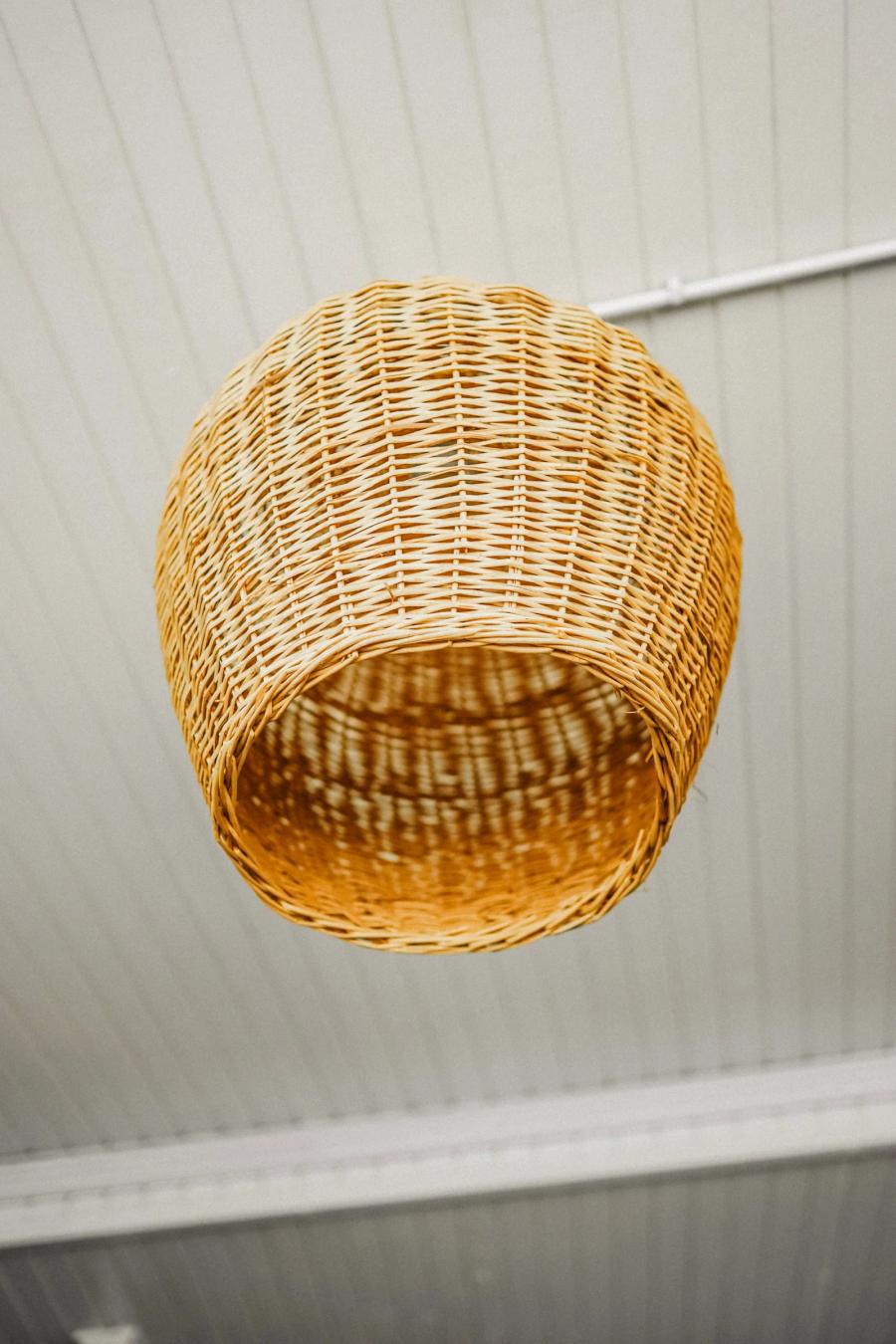 Лоза